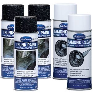 Trunk Paint Black Aqua Kit
