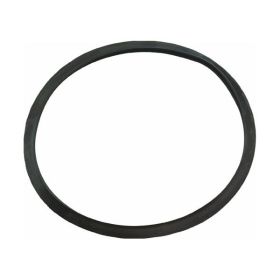 O-Ring (Gasket) for Dual Blaster 11737