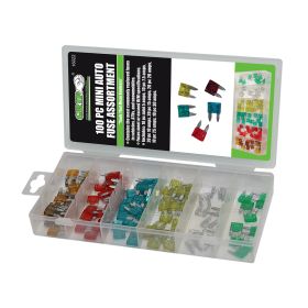 GRIP 100 Piece Mini Auto Fuse Asst 16022